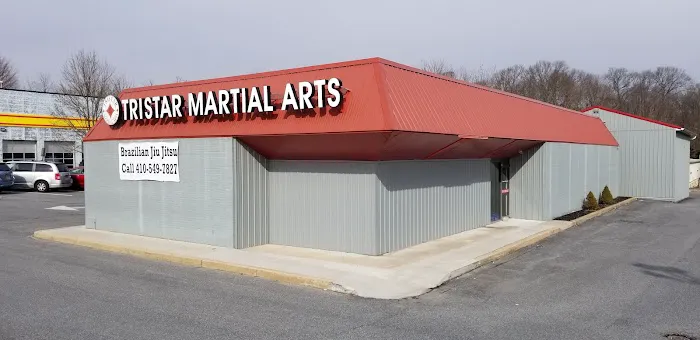 Tristar Martial Arts Academy Picture 4