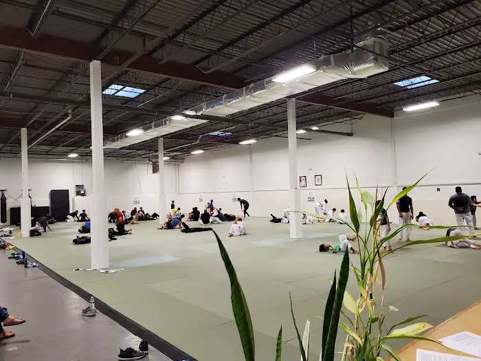 Rising Tide Academy (Columbia) Gracie Jiu-Jitsu - Muay Thai Picture 2