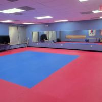 World Classic Martial Arts, LLC ico