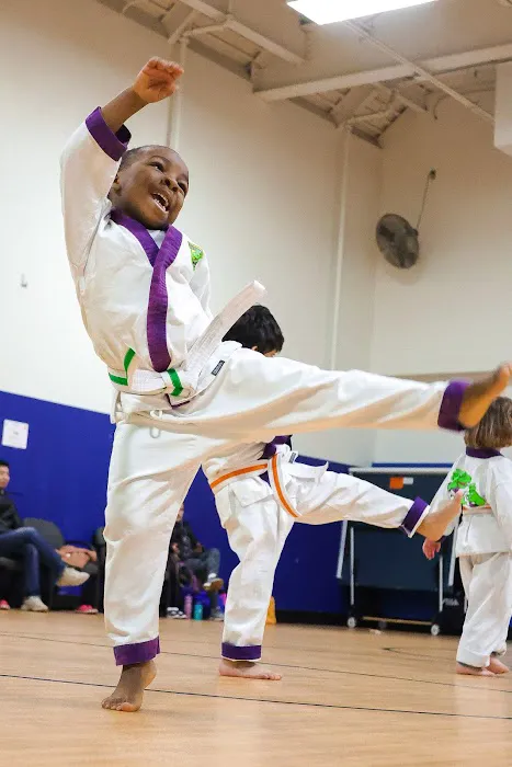 CA Martial Arts School Picture 1