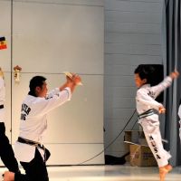 MUSA Tae Kwon Do Center ico