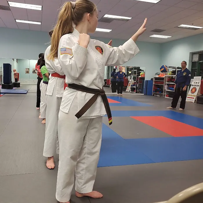 Integrity Martial Arts Picture 3