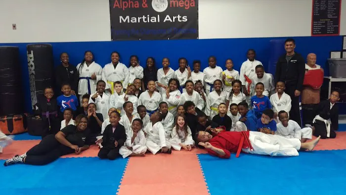 Alpha & Omega Martial Arts Picture 2