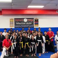 Alpha & Omega Martial Arts ico