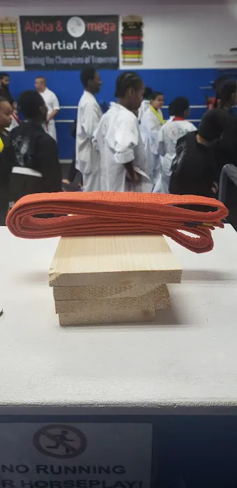 Alpha & Omega Martial Arts Picture 6