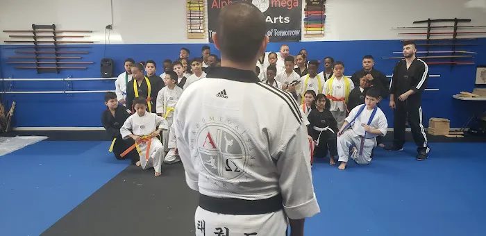 Alpha & Omega Martial Arts Picture 7