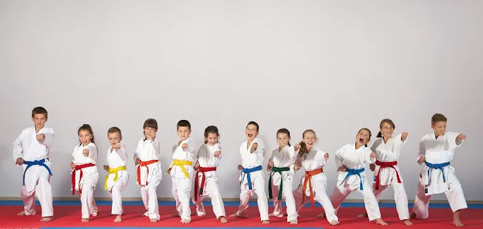 After School Karate Academy And Summer Camp Picture 1