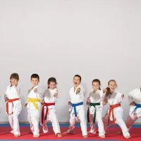 After School Karate Academy And Summer Camp ico