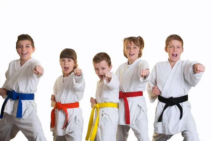 After School Karate Academy And Summer Camp Picture 2