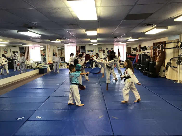 World Taekwondo Academy Picture 2