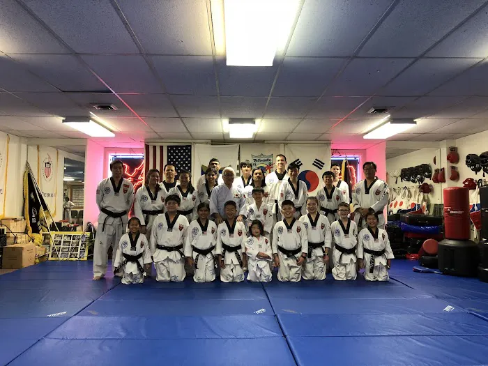 World Taekwondo Academy Picture 5