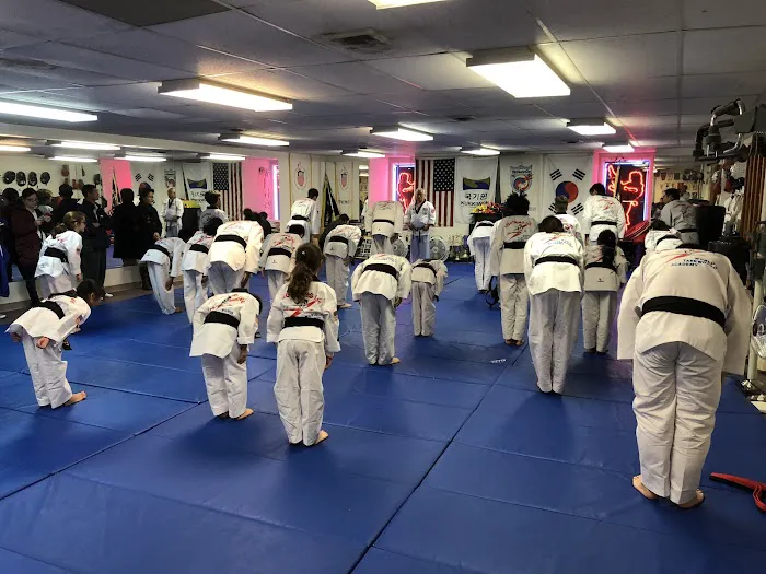 World Taekwondo Academy Picture 7