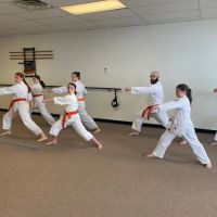 Summit Martial Arts ico