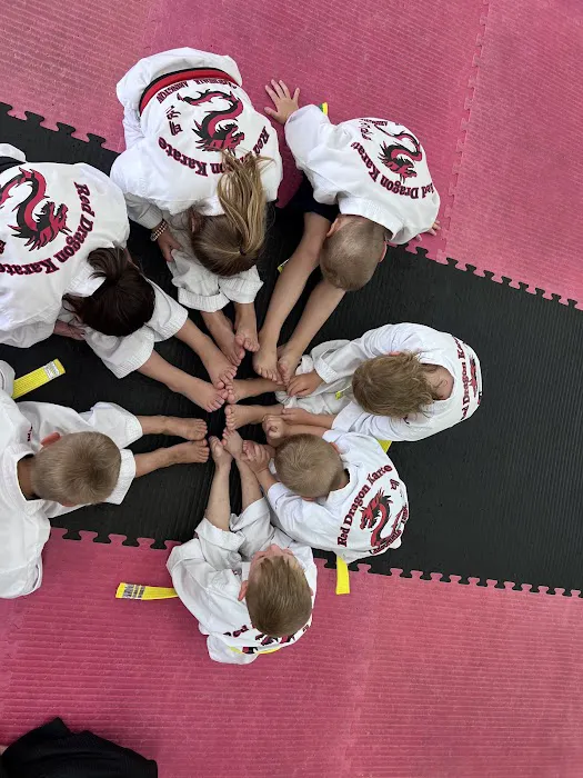 Red Dragon Karate USA Picture 9