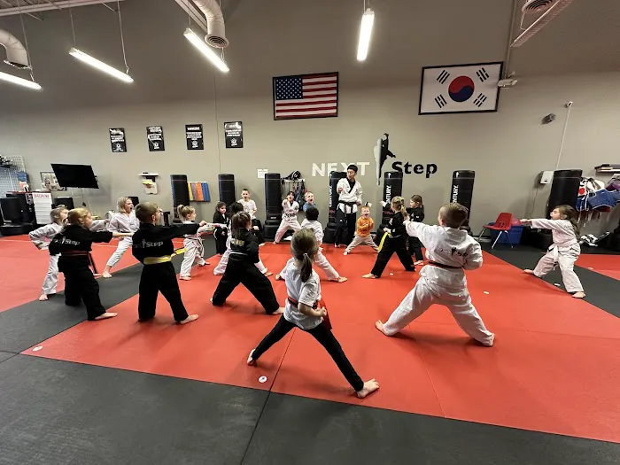 NEXTStep Martial Arts Picture 1