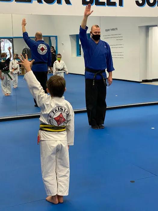 Tristar Martial Arts Academy Picture 5
