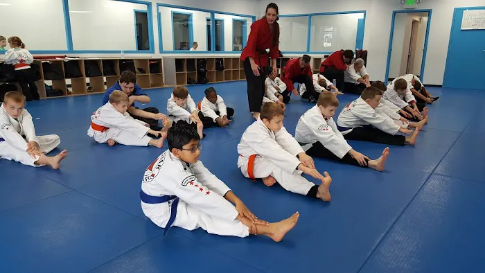 Tristar Martial Arts Academy Picture 4