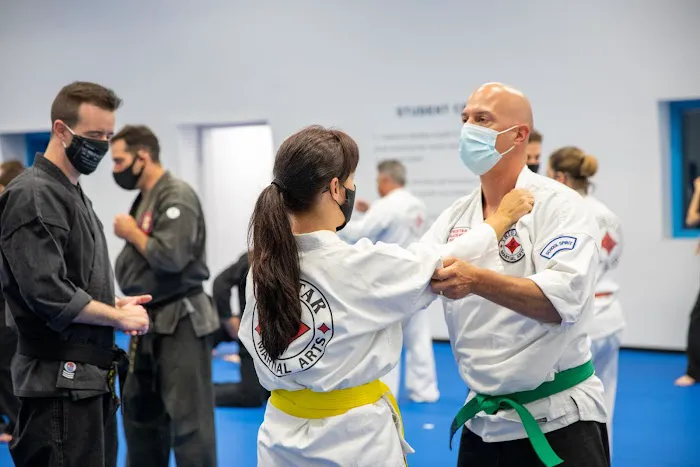 Tristar Martial Arts Academy Picture 8