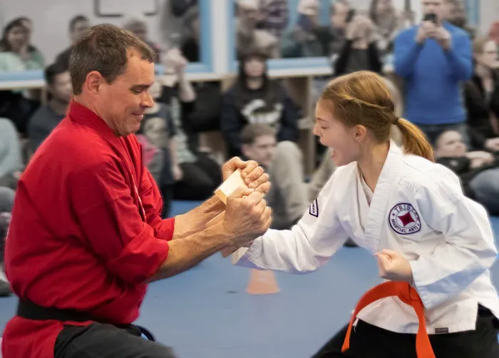 Tristar Martial Arts Academy Picture 10