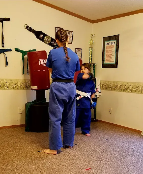 Gilbert's Martial Arts Academy Picture 4