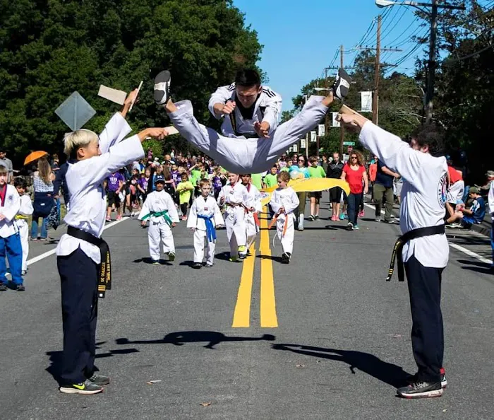 Us Tae Kwon Do Center Picture 2