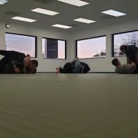 Rising Tide Academy (Finksburg) ico