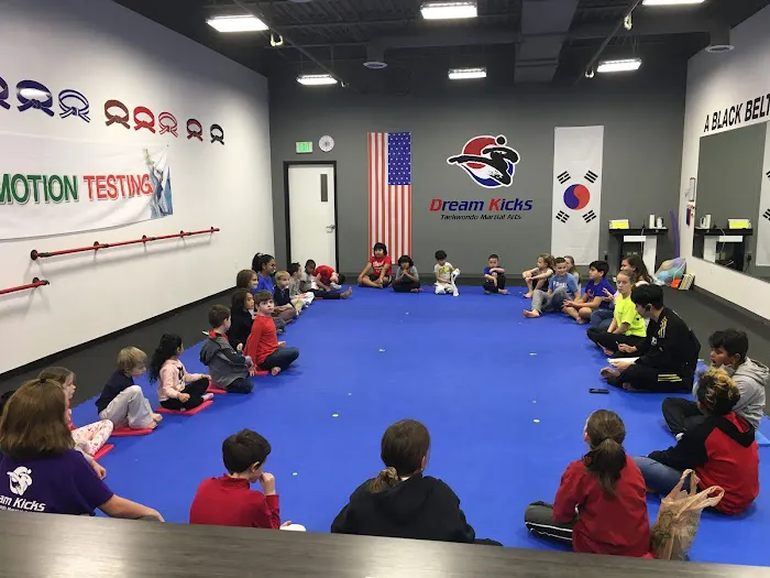 Dream Kicks Taekwondo Martial Arts Picture 2
