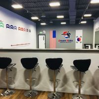 Dream Kicks Taekwondo Martial Arts ico