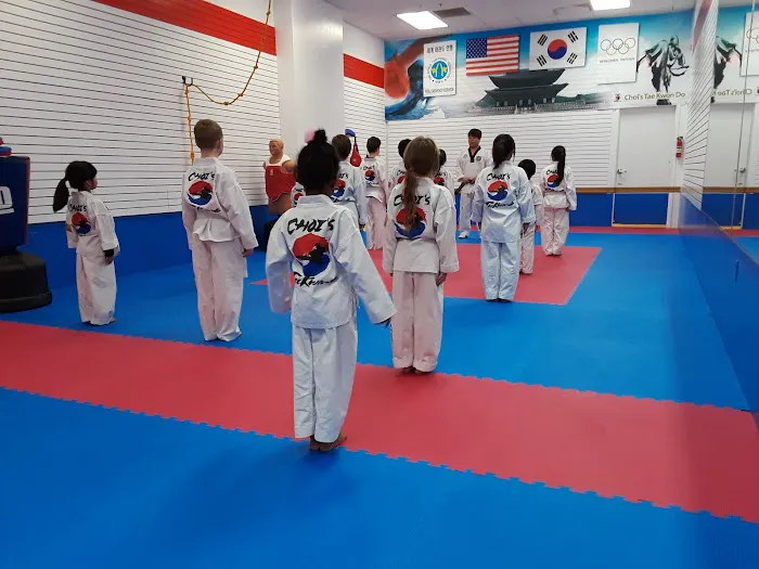 Choi's Tae Kwon Do Picture 1