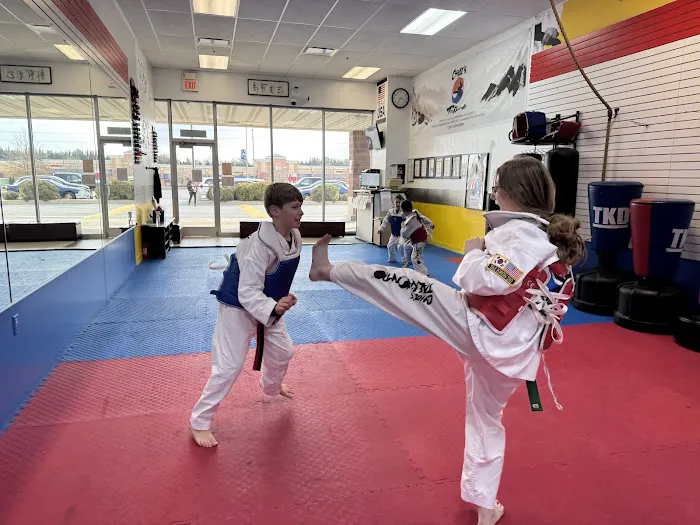 Choi's Tae Kwon Do Picture 2