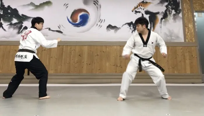 Choi's Tae Kwon Do Picture 9
