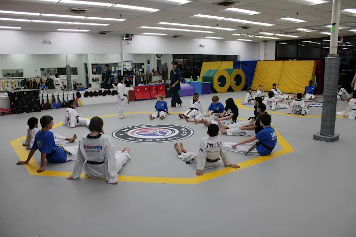 MUSA MARTIAL ARTS Picture 1