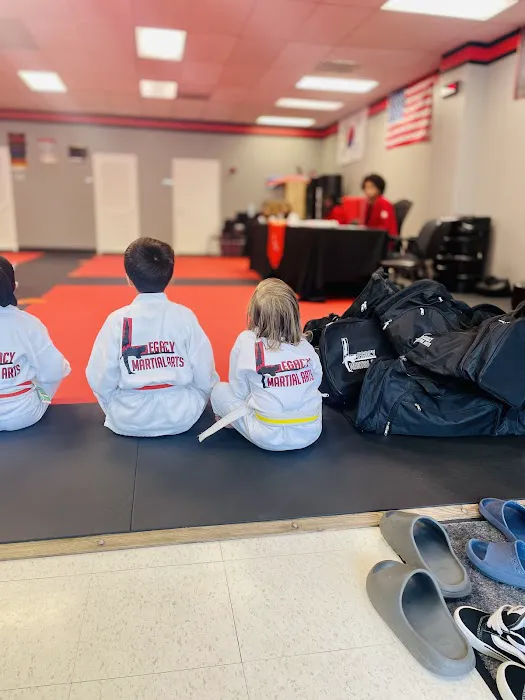 Legacy Martial Arts Picture 8