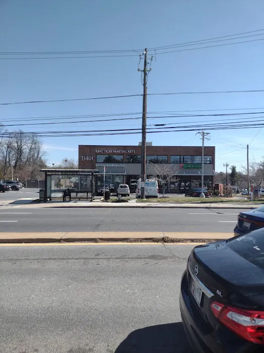 King Tiger Martial Arts MD Picture 5