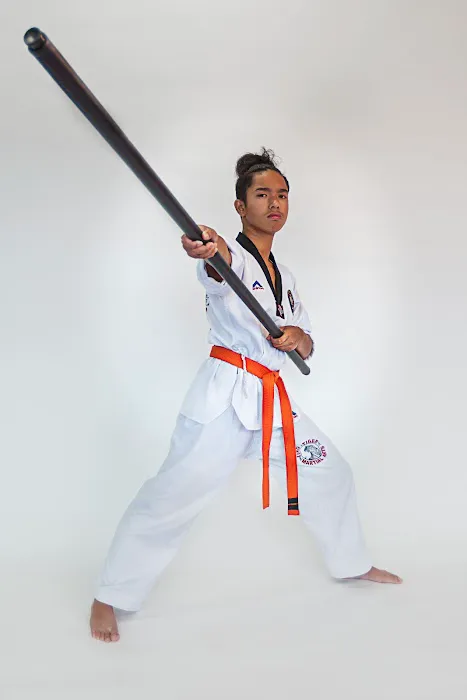 King Tiger Martial Arts MD Picture 8