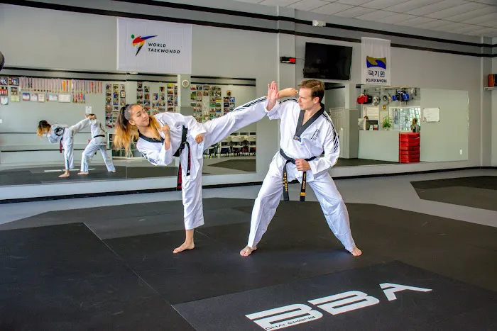 Black Belt Academy Picture 2