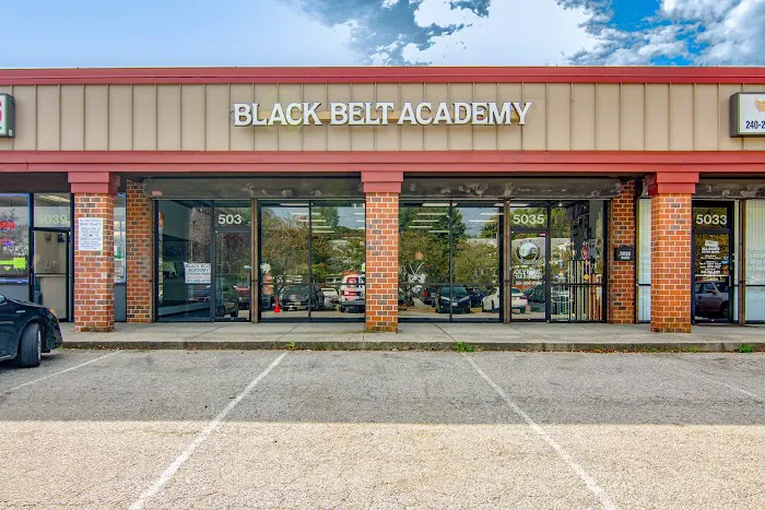 Black Belt Academy Picture 4