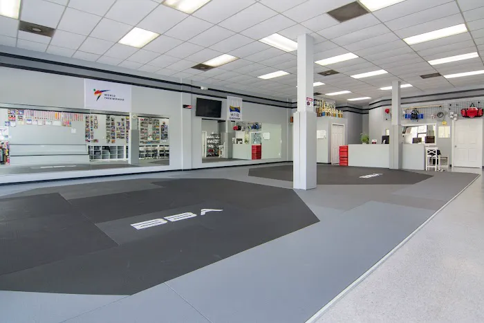 Black Belt Academy Picture 3