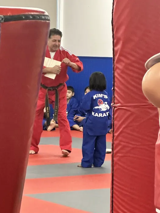 Kim Karate Taekwondo And Learning Center Picture 1