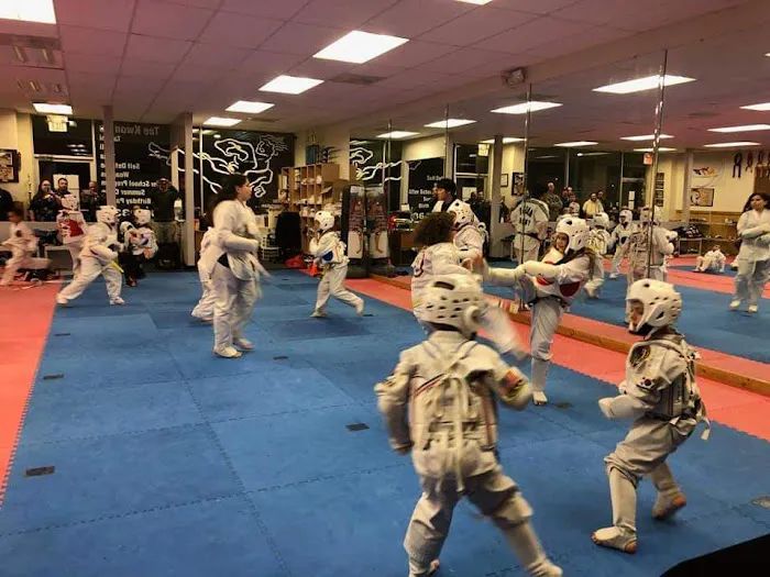 Black Belt Academy of Dunkirk Picture 3