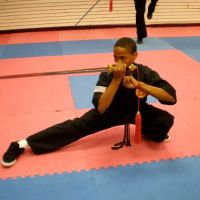 Dennis Brown Shaolin Wu-Shu Center ico