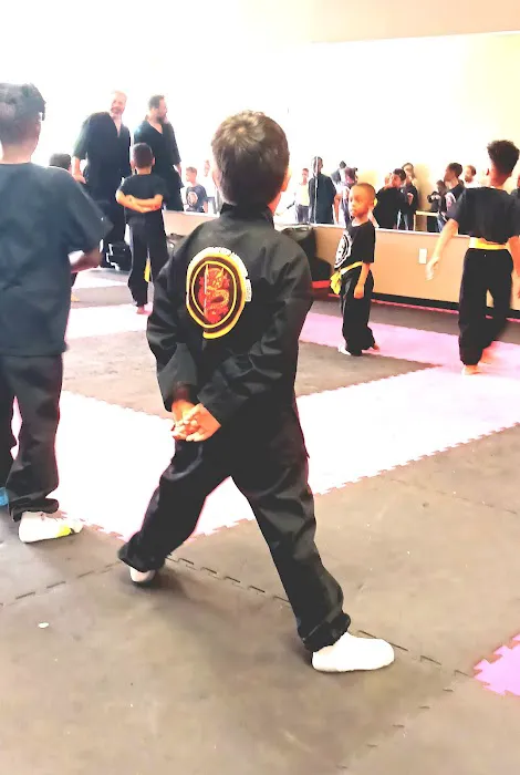 Dragon Academy of Martial Arts Picture 3