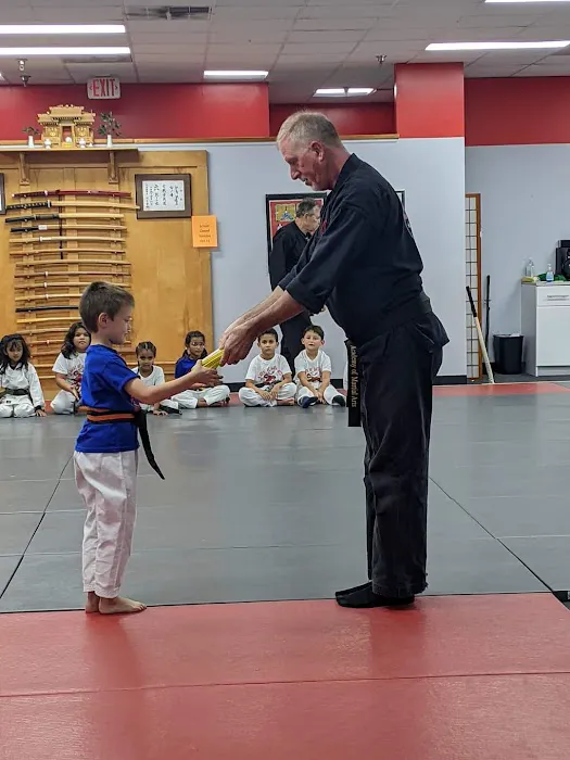 Academy Of Martial Arts Picture 2