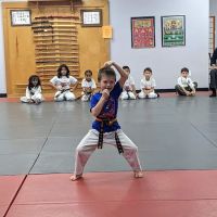 Academy Of Martial Arts ico