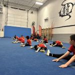 Taichi Kung-Fu Academy 太极功夫学院