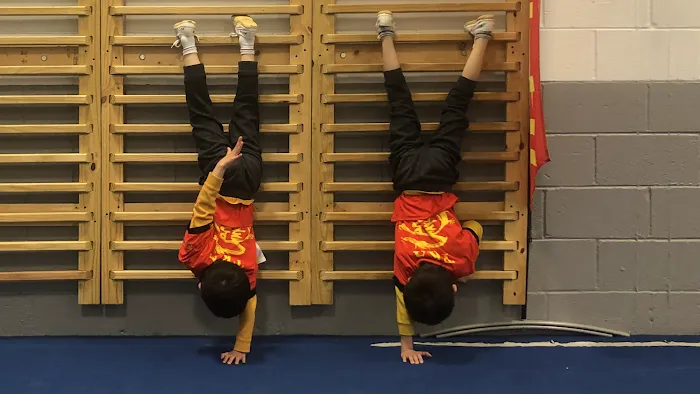 Taichi Kung-Fu Academy 太极功夫学院 Picture 3