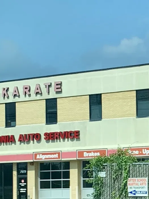 World Classic Martial Arts Picture 2