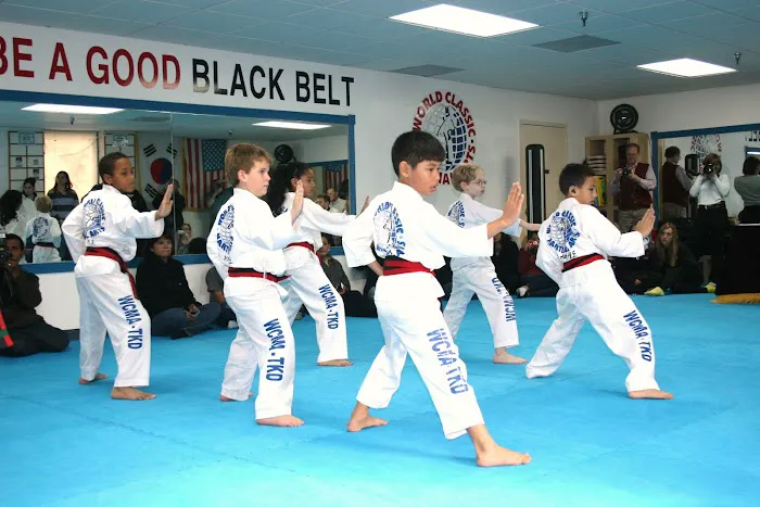 World Classic Martial Arts Picture 1