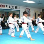 World Classic Martial Arts