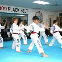 World Classic Martial Arts ico